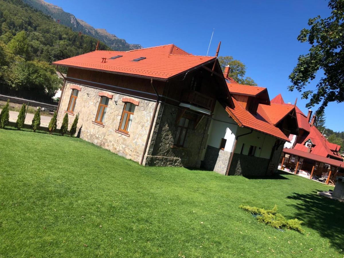 Pensiunea Piscul Cainelui Sinaia Eksteriør bilde